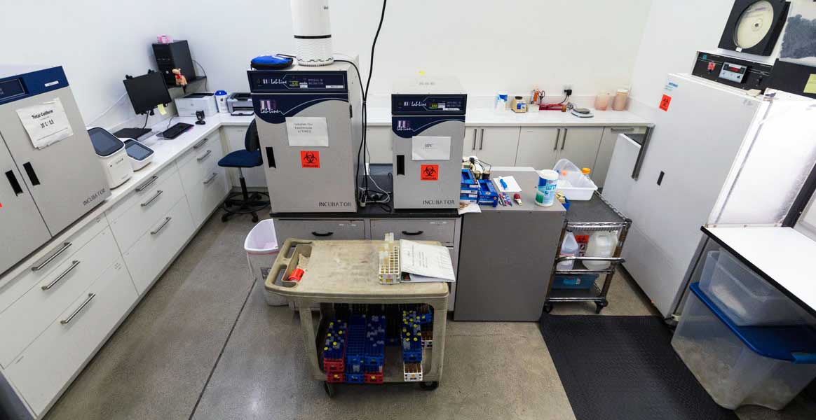 food safety testing near me